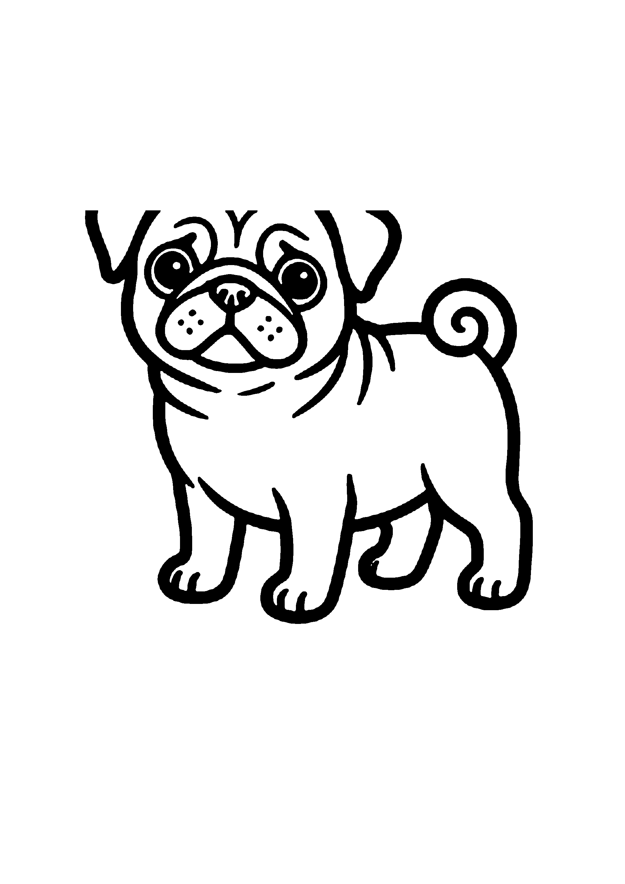 Coloriage aux contours nets : Chiot Carlin Mignon avec sa Queue en Tire-bouchon