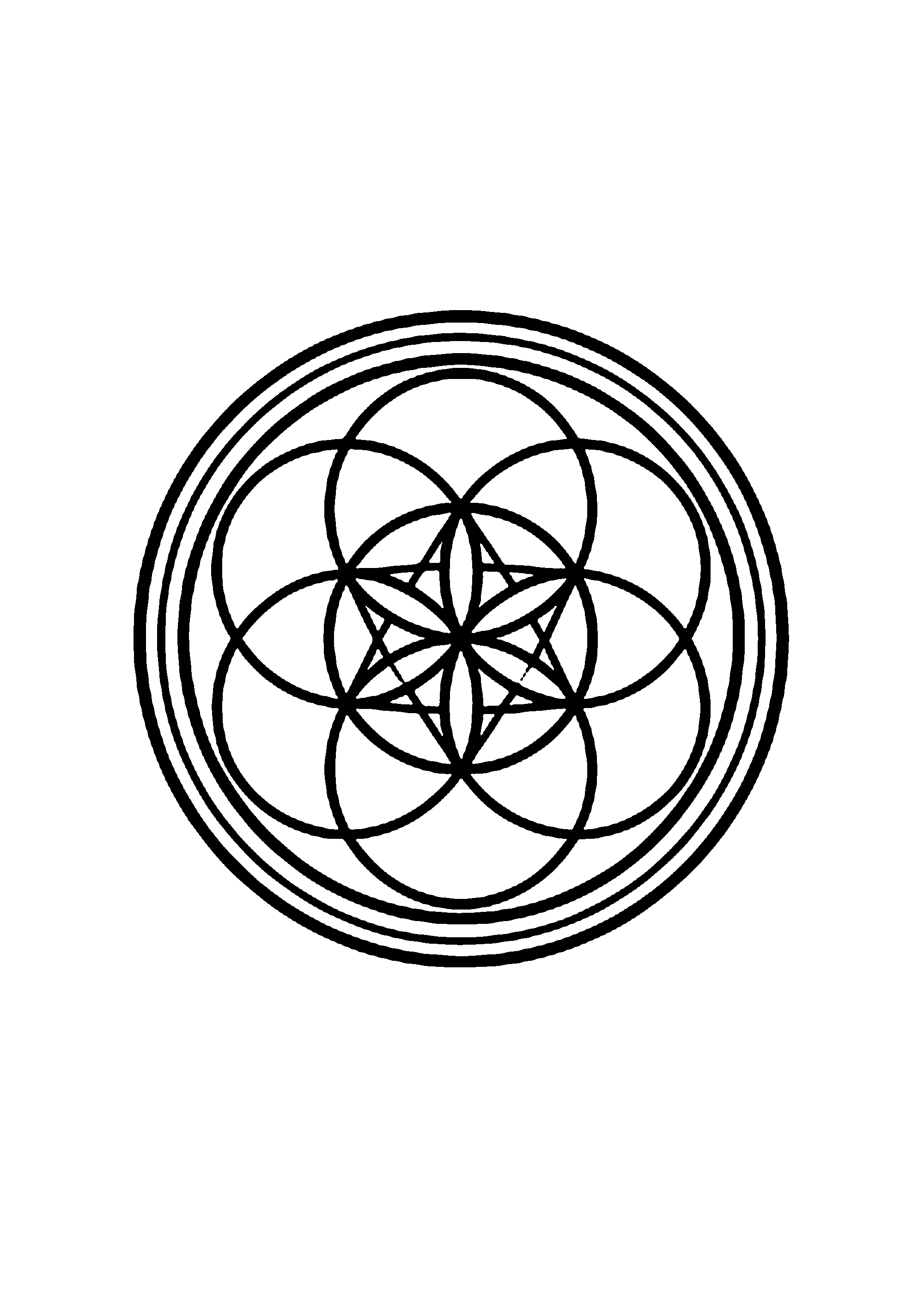 Coloriage aux contours nets : Mandala Floral Nature